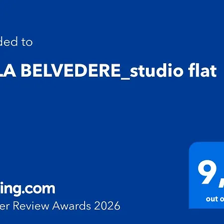 Belvedere_studio Flat *